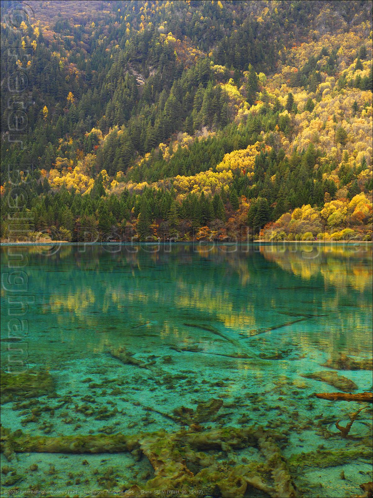 Peter Bellingham Photography Jiuzhaigou National Park - China SQ V (PBH4 00 15437)